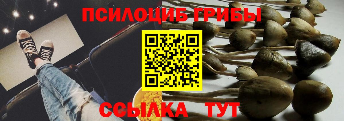 Галлюциногенные грибы мухоморы  Вход с VPN  цена   Псилоцибиновые грибы мицелий  Клинцы 